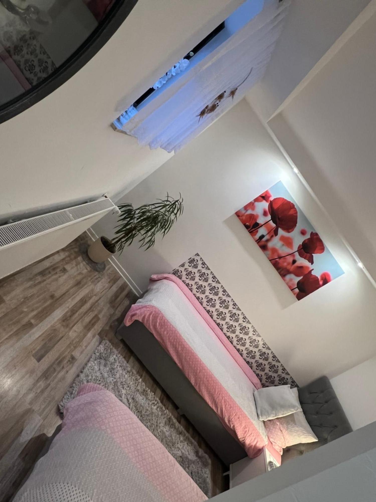 Beti Apartment 2 Nentershausen  Εξωτερικό φωτογραφία